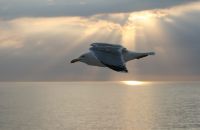 Für größeres Bild bitte klicken!