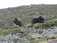 Für größeres Bild bitte klicken!