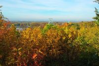 F&uuml;r gr&ouml;&szlig;eres Bild bitte klicken!