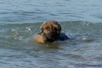 F&uuml;r gr&ouml;&szlig;eres Bild bitte klicken!