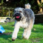 F&uuml;r gr&ouml;&szlig;eres Bild bitte klicken!