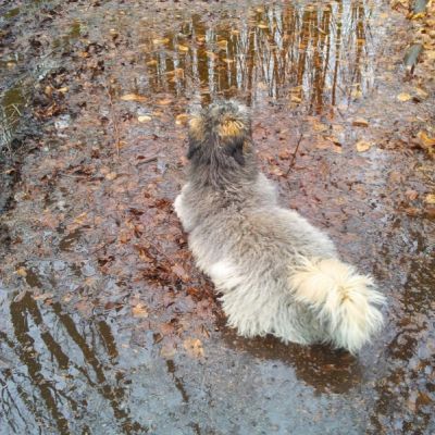 Für größeres Bild bitte klicken!