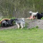 F&uuml;r gr&ouml;&szlig;eres Bild bitte klicken!