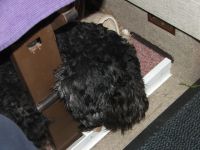 Für größeres Bild bitte klicken!