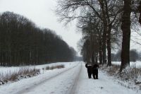 Für größeres Bild bitte klicken!