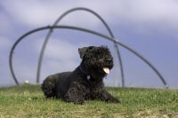 Für größeres Bild bitte klicken!