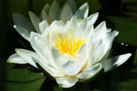 Für größeres Bild bitte klicken!