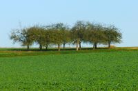 Für größeres Bild bitte klicken!