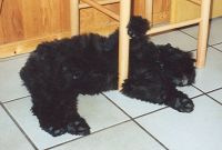 Für größeres Bild bitte klicken!