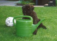 Für größeres Bild bitte klicken!