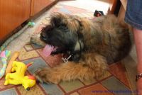 F&uuml;r gr&ouml;&szlig;eres Bild bitte klicken!