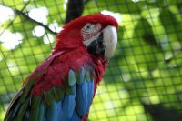 Für größeres Bild bitte klicken!